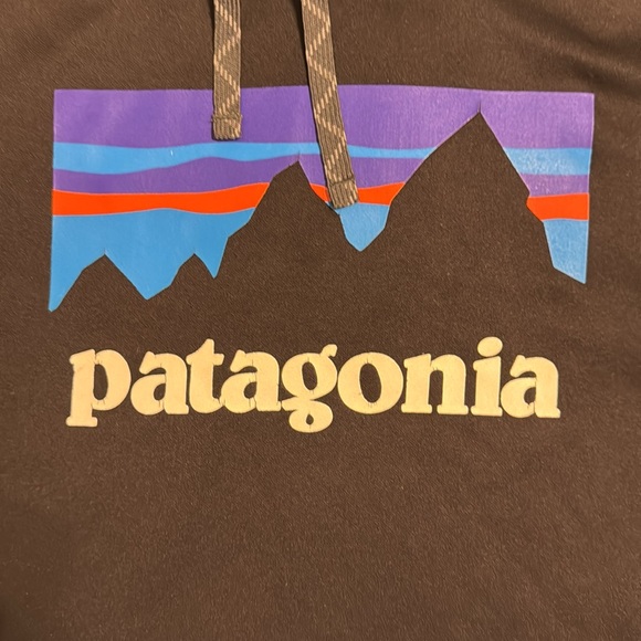 Patagonia Black Hoodie Size M - Picture 4 of 4
